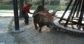 養(yǎng)殖區(qū)